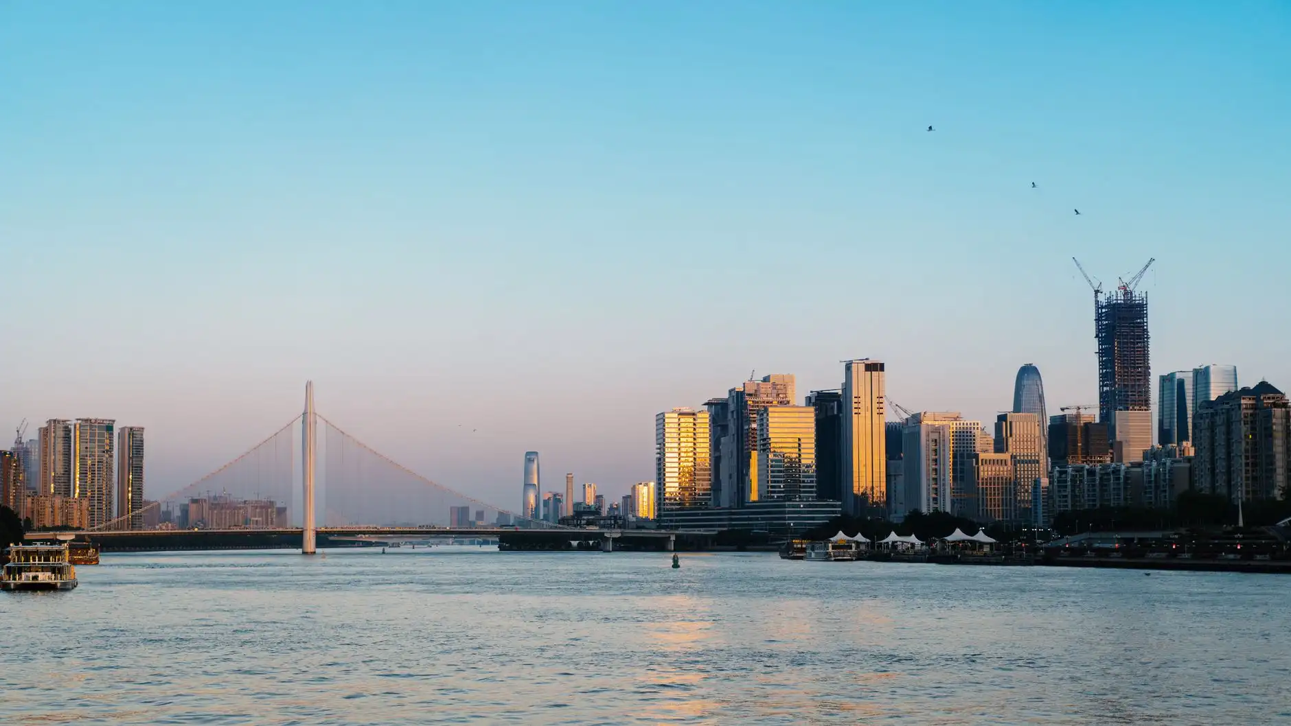 市政景观设计中的乡土植物应用:丽来春技术解析