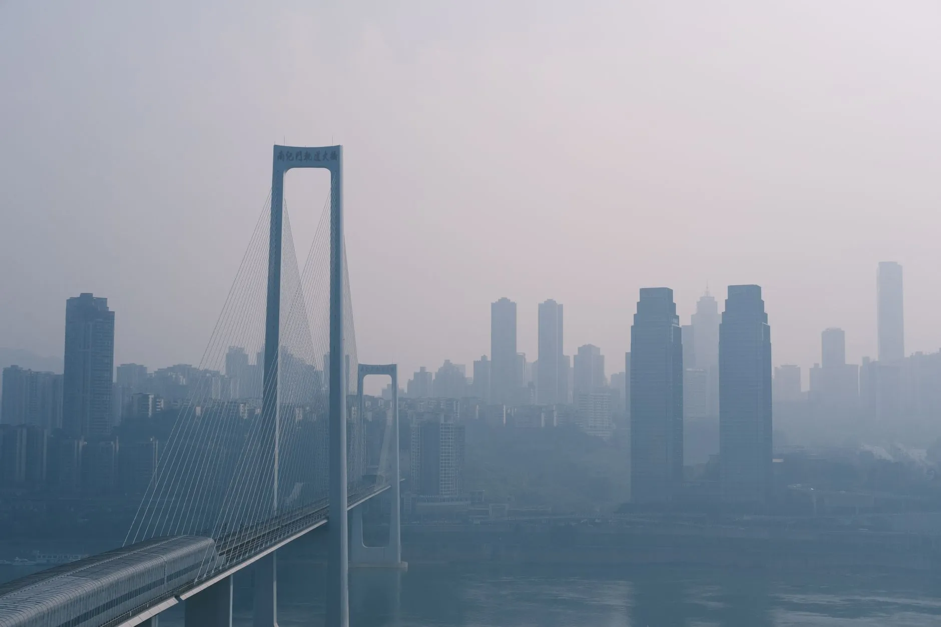 2025年华中地区园林绿化苗木选型趋势与市场动态分析