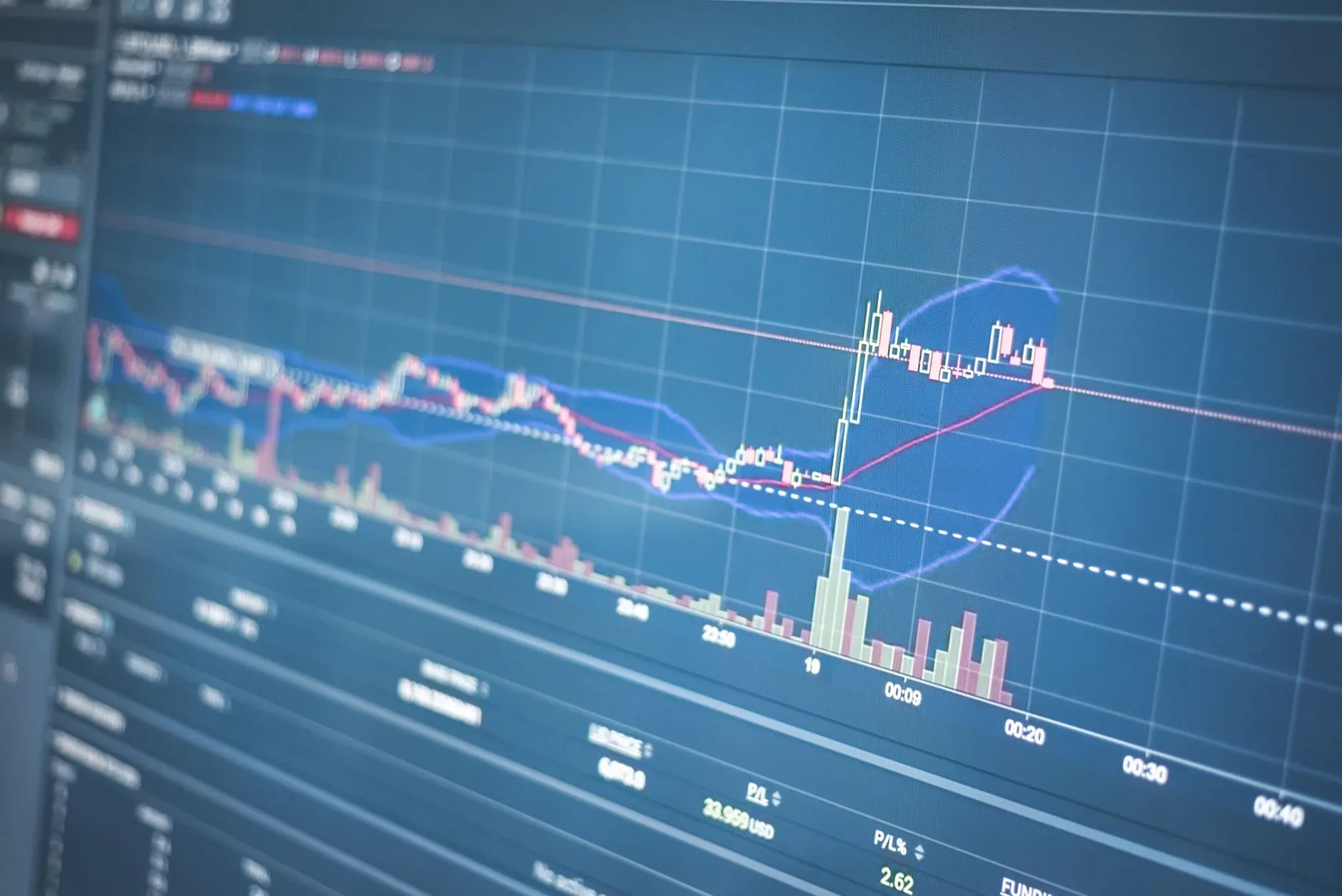 湖北园林绿化工程中苗木成活率提升的关键技术解析