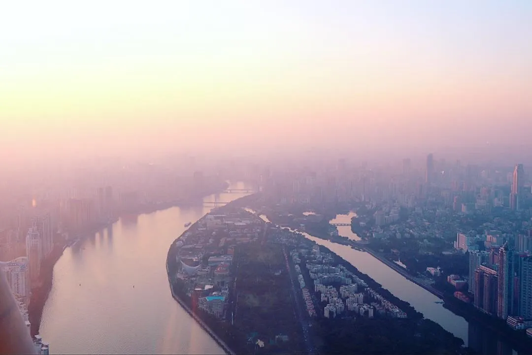 市政景观设计中的乡土植物应用:丽来春技术解析