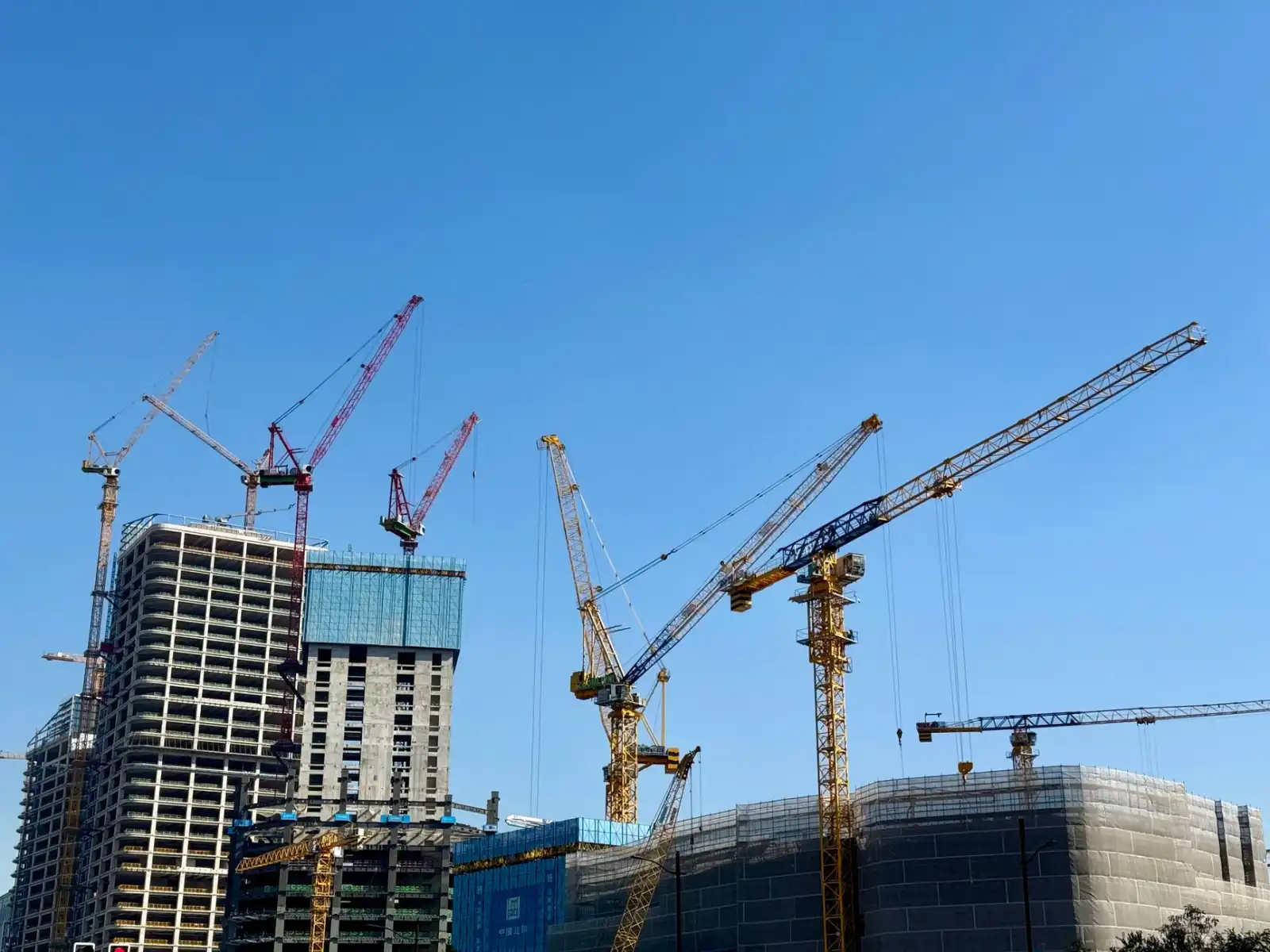 华中地区园林绿化工程中乡土树种的选择与应用分析